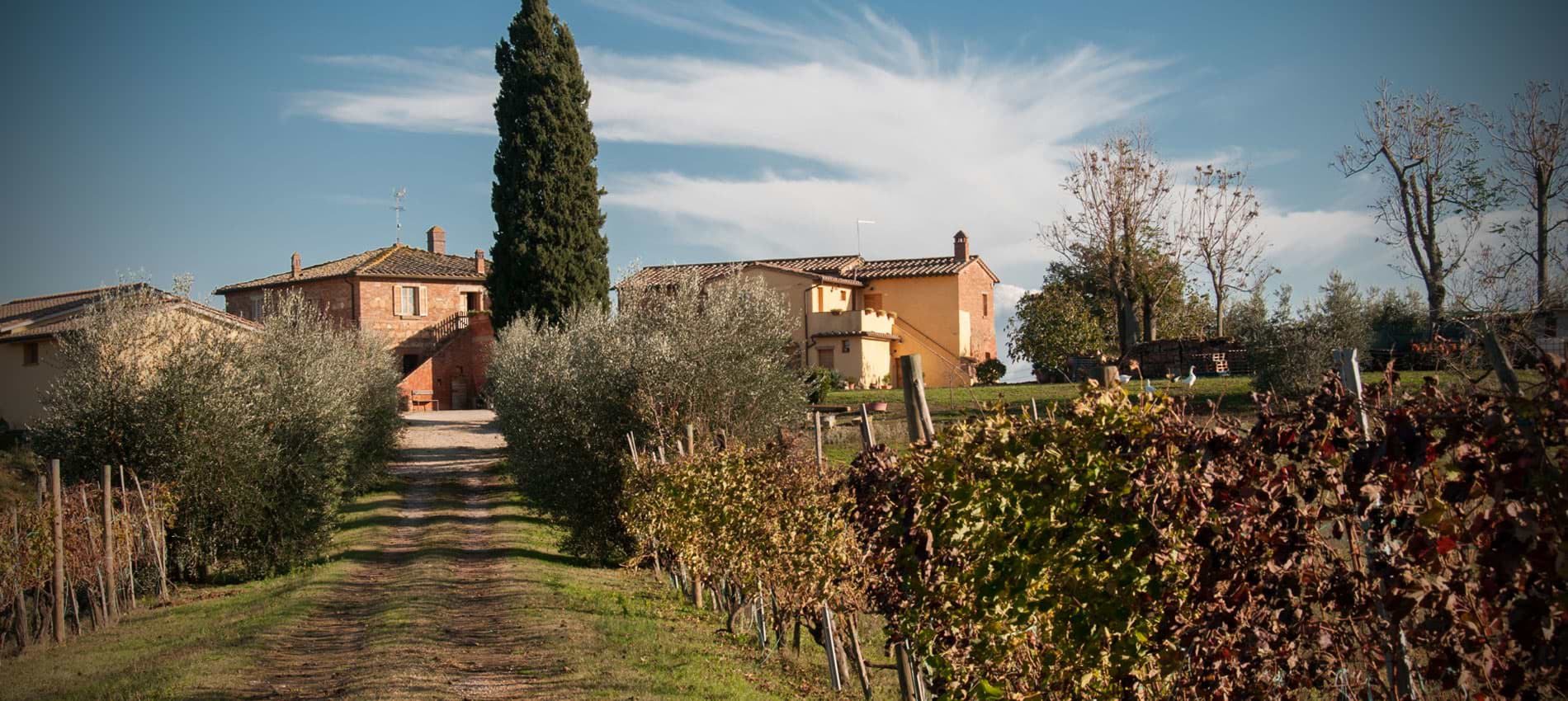 panoramica poderi sanguineto