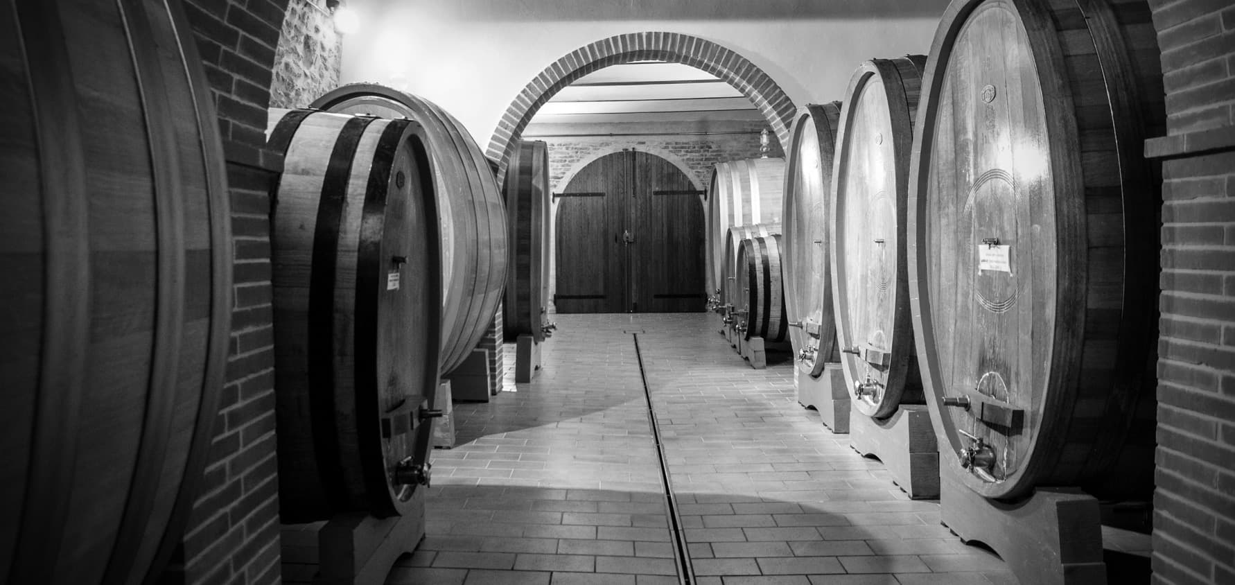 visite-in-cantina-a-montepuciano